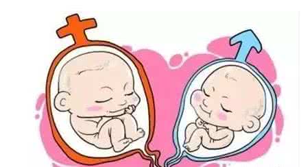 私人孕妈借卵代孕咨询微信号
